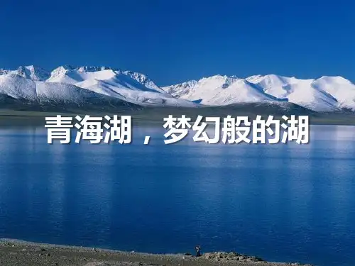 《青海湖,梦幻般的湖》PPT演示课件