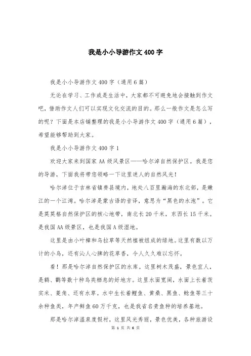 我是小小导游作文400字