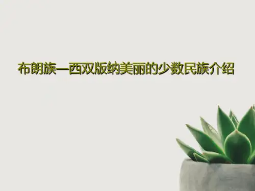 布朗族—西双版纳美丽的少数民族介绍25页PPT