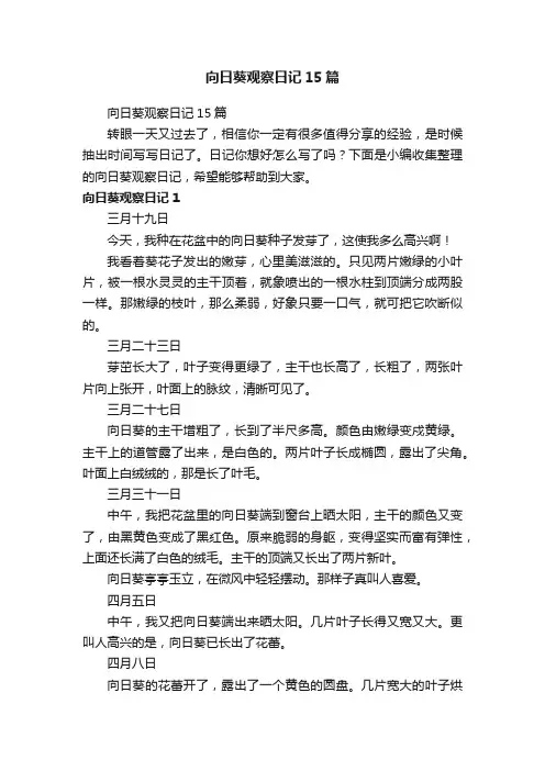 向日葵观察日记15篇