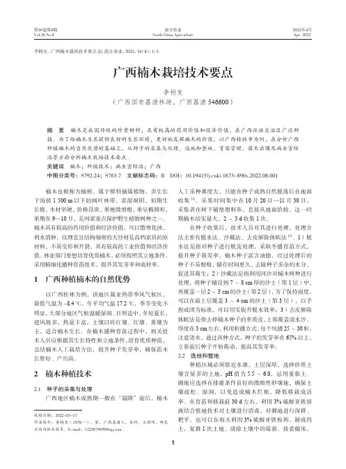 广西楠木栽培技术要点