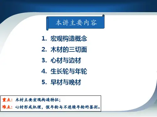 木材宏观构造1