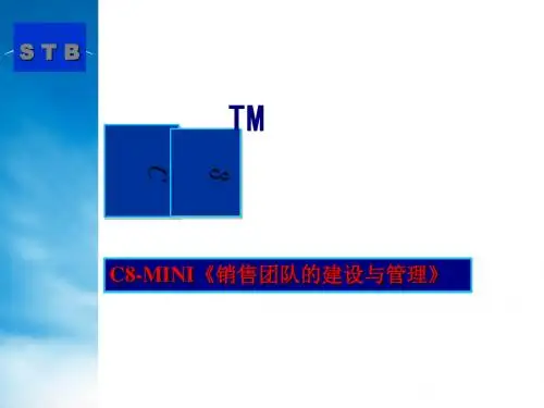 销售团队的建设与管理(ppt101张)