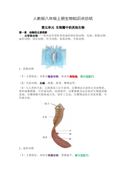 人教版八年级上册生物知识点总结