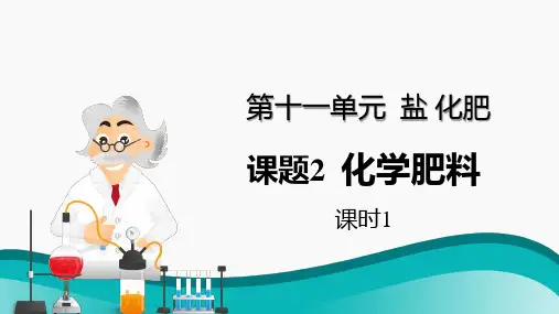 课题2 化学肥料(第1课时)(精品课件)九年级化学下册(人教版)