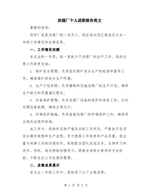 洗煤厂个人述职报告范文