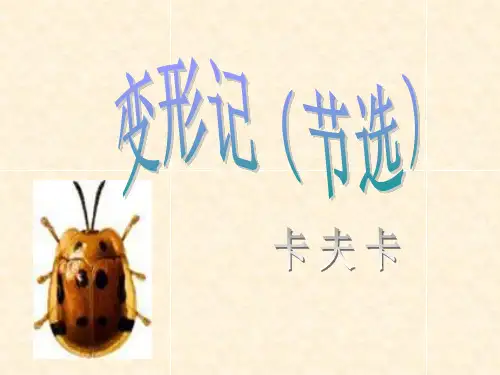 11变形记(节选)