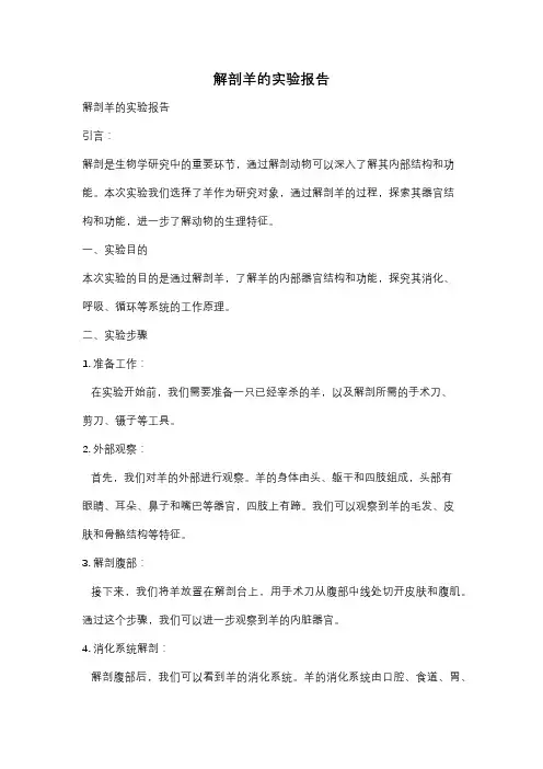 解剖羊的实验报告