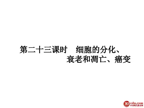 2013高考一轮复习 必修1 5.23 细胞的分化、衰老和凋亡、癌变