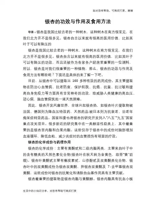 银杏的功效与作用及食用方法