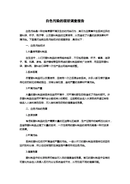 白色污染的现状调查报告 2