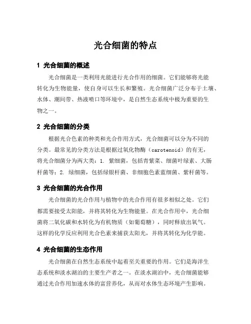 光合细菌的特点