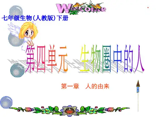 第一章 人的由来复习课件