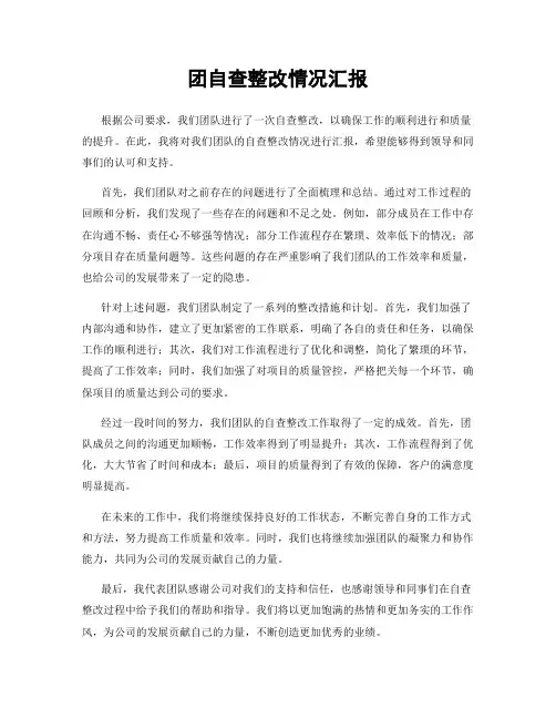 团自查整改情况汇报