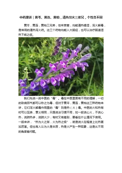 中药漫谈｜黄芩、黄连、黄柏，清热泻火三弟兄，个性各不同