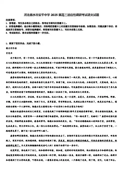 河北衡水市安平中学2025届高三适应性调研考试语文试题含解析