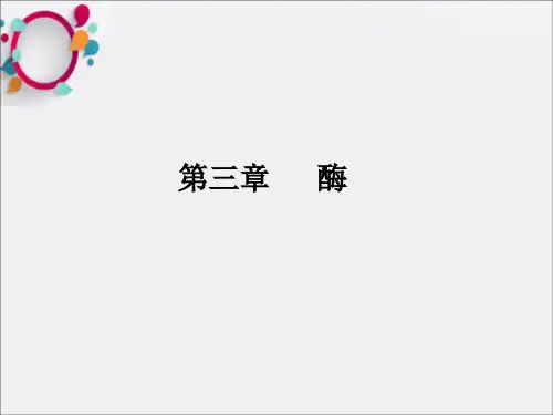 《酶的分类与命名》PPT课件