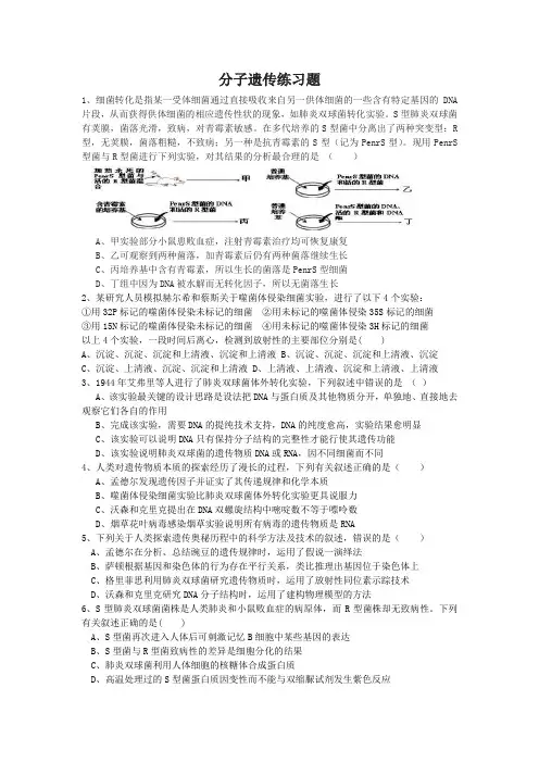分子遗传练习题