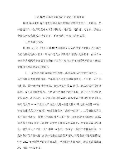 公司2023年落实全面从严治党责任自查报告