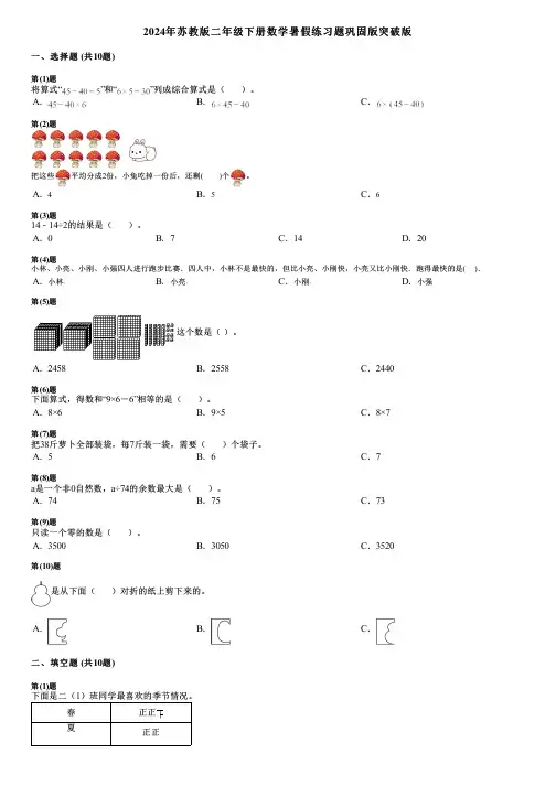 2024年苏教版二年级下册数学暑假练习题巩固版突破版