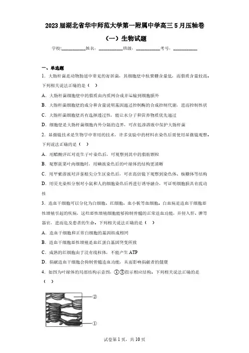 2023届湖北省华中师范大学第一附属中学高三5月压轴卷(一)生物试题(含解析)