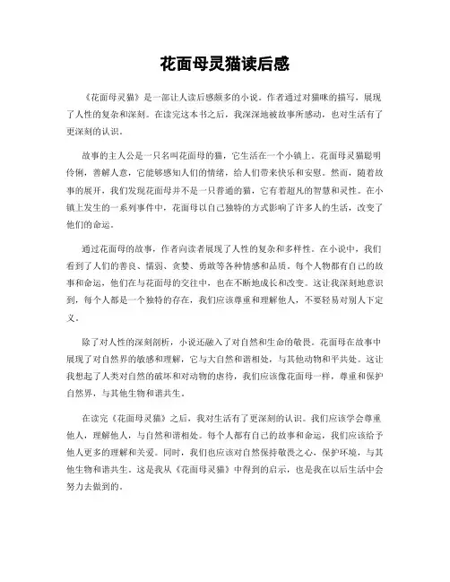 花面母灵猫读后感