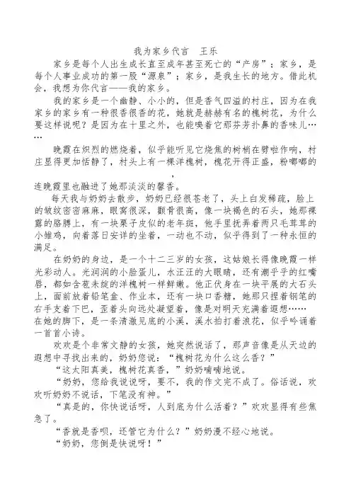 我为家乡代言文稿