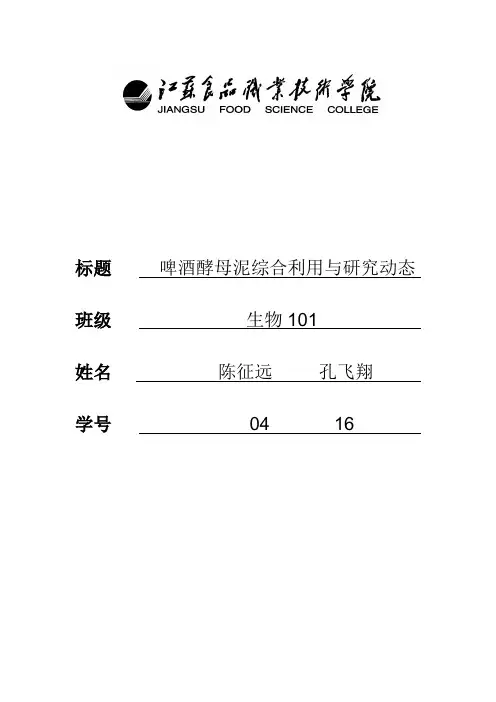 啤酒酵母泥综合利用
