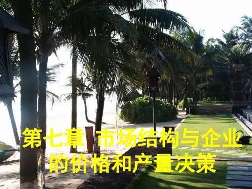 管理经济学第7章