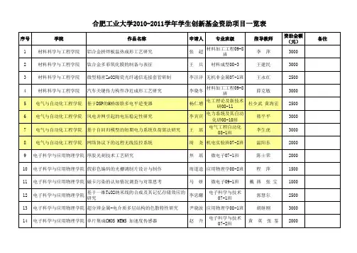 合肥工业大学2010-2011学年学生创新基金资助项目一览表