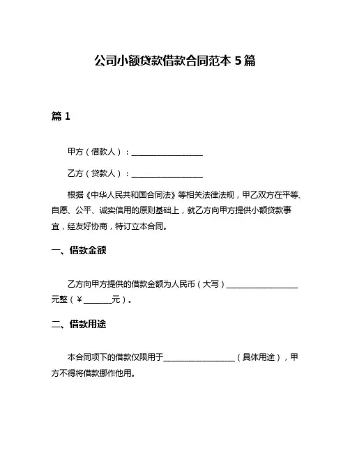公司小额贷款借款合同范本5篇