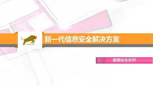 信息安全解决方案数据安全系列