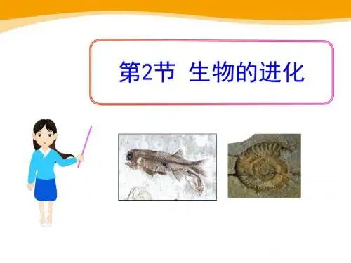 《生物的进化》PPT优秀课件1