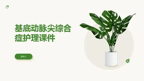 基底动脉尖综合症护理课件