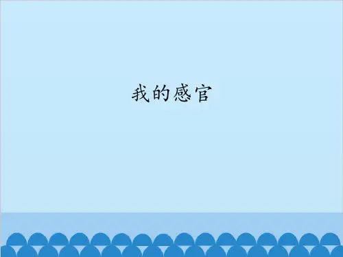 一年级上册科学-我的感官-冀教版