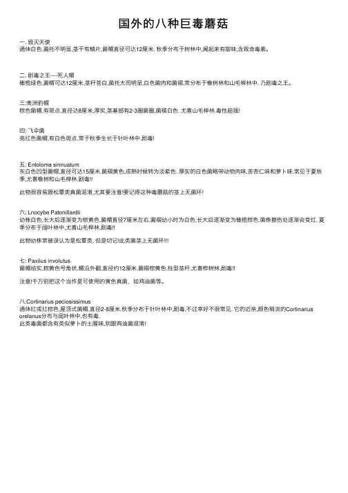 国外的八种巨毒蘑菇