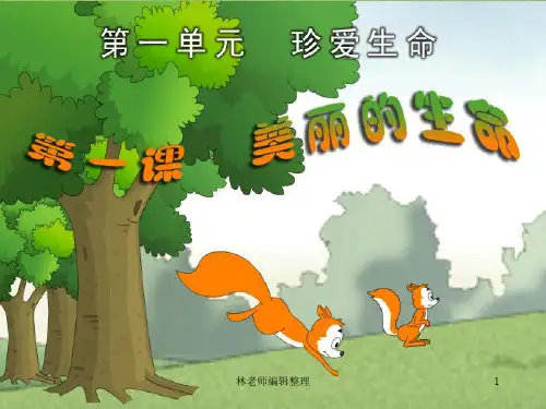 《美丽的生命》课件1
