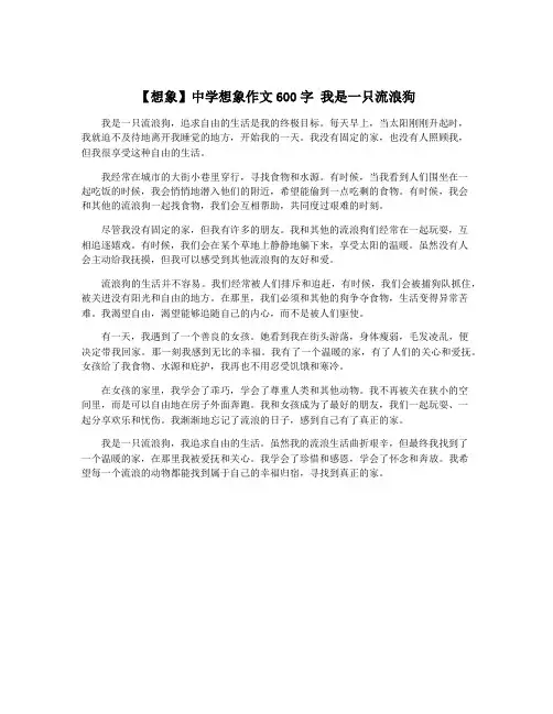 【想象】中学想象作文600字 我是一只流浪狗
