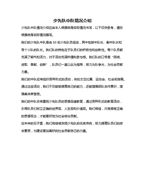 少先队中队情况介绍