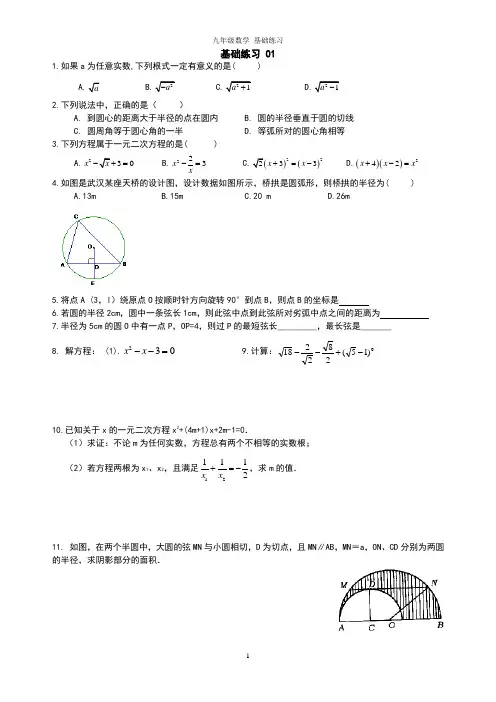 精品 九年级数学 中考专题 一日一练