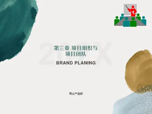项目管理第四章本科项目组织与团队