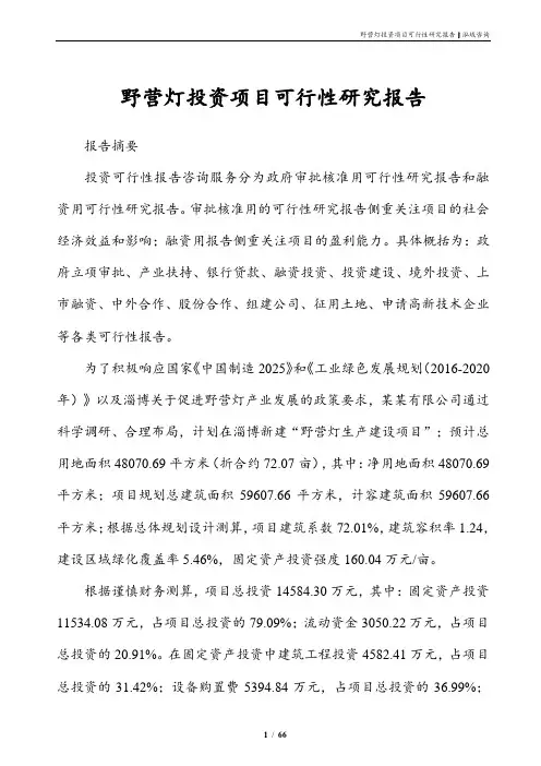 野营灯投资项目可行性研究报告