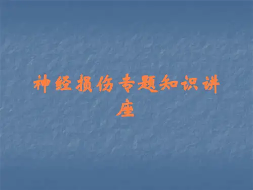 神经损伤专题知识讲座