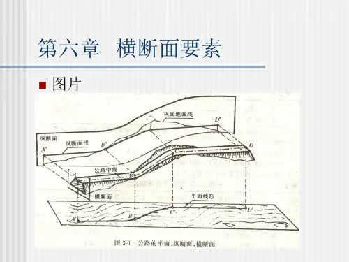 高速公路横断面设计说明