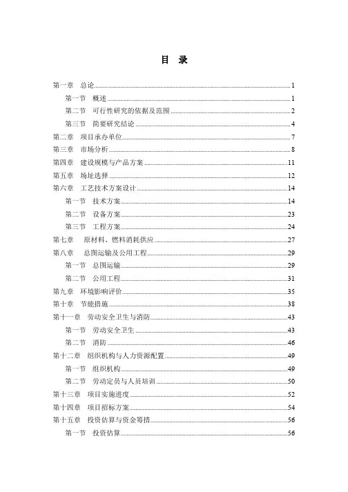 服装加工生产线项目可行性研究报告