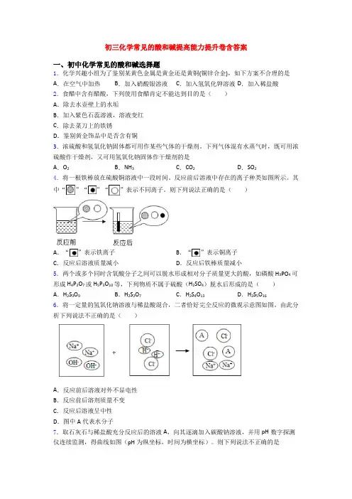 初三化学常见的酸和碱提高能力提升卷含答案