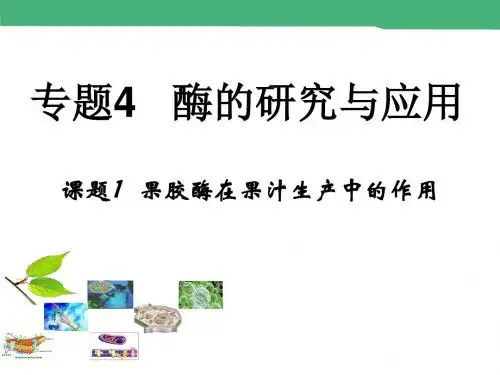 4.1《果胶酶在果汁生产中的应用》课件