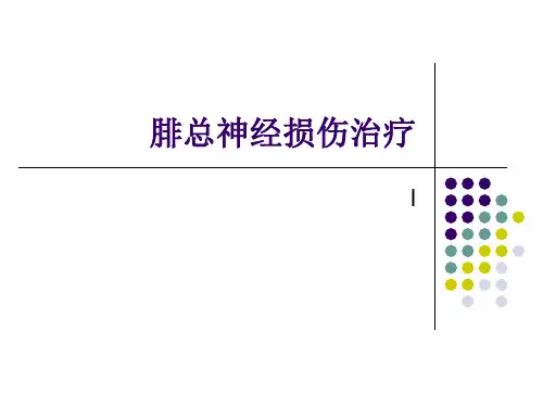 腓总神经受损