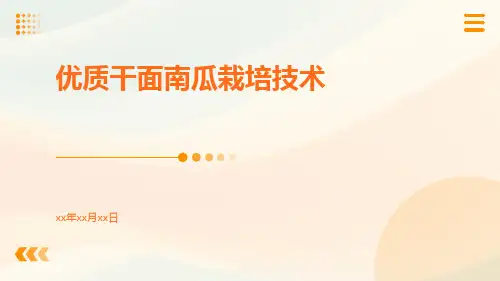 优质干面南瓜栽培技术