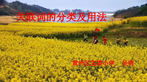 关联词的分类及应用